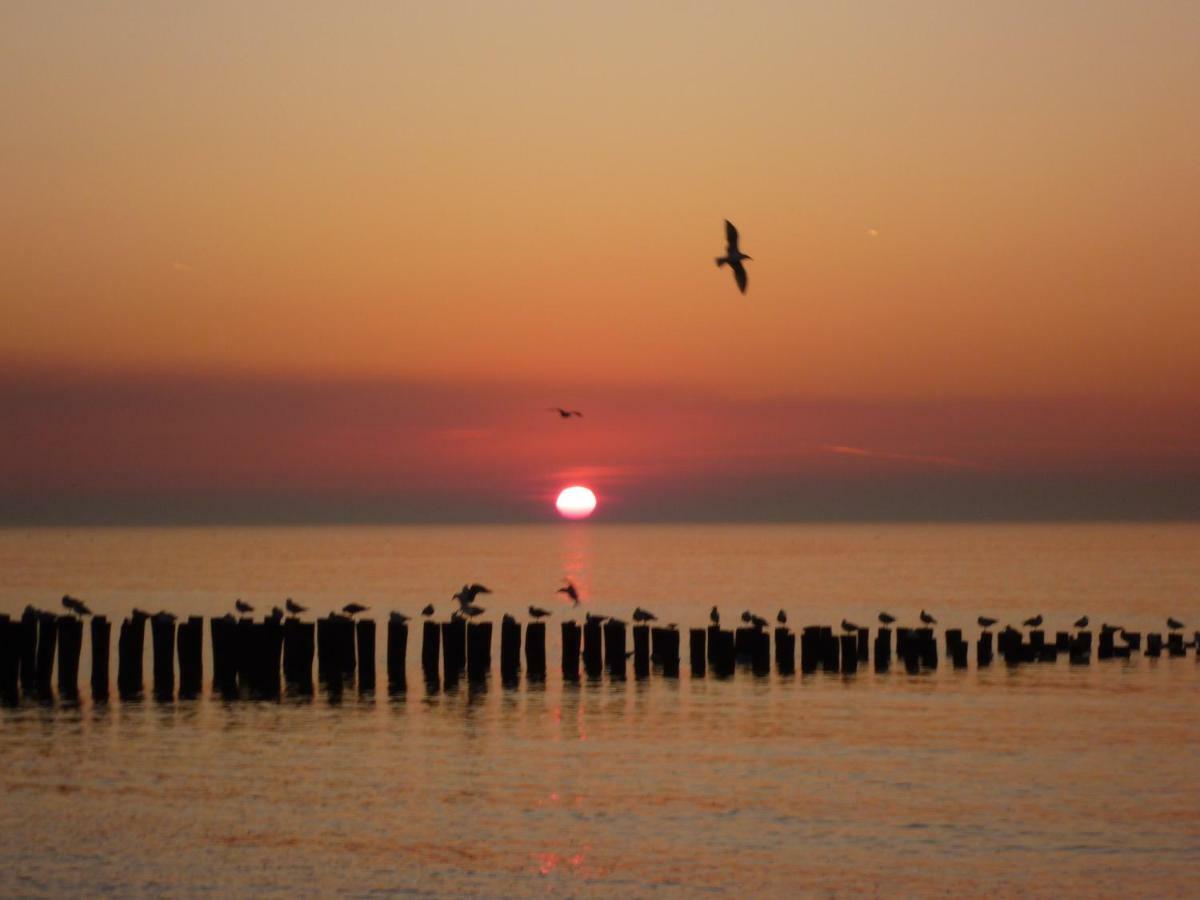 Prachtige Vakantiewoning Dichtbij Bos En Strand Ok22 Oostkapelle Luaran gambar